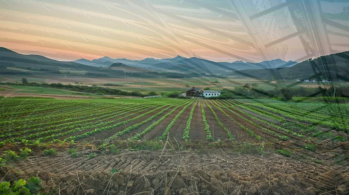 법무사개인회생